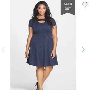 24W Sejour blue leopard dress